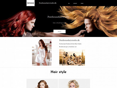 penthousehairstudio.dk snapshot