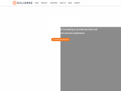 saliense.com snapshot