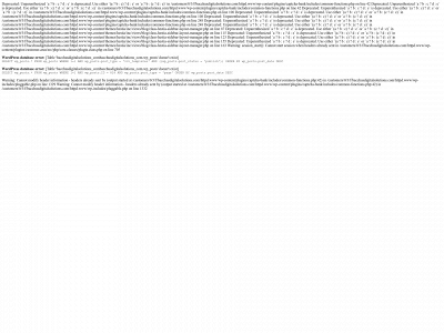 bacchusdigitalsolutions.com snapshot