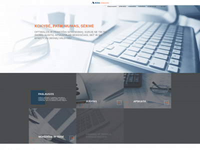 roskconsulting.lt snapshot