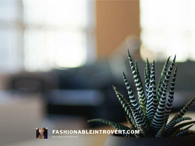 fashionableintrovert.com snapshot