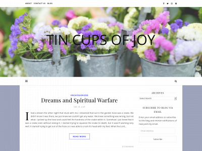 tincupsofjoy.com snapshot