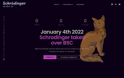 schrodingerbsc.com snapshot