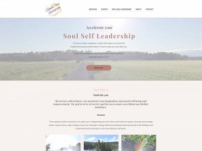 soulcoreevolution.com snapshot