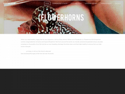 fishemporium.weebly.com snapshot