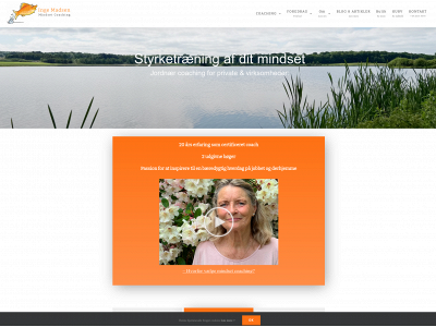ingemadsen.dk snapshot