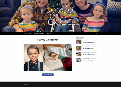 joego.com snapshot