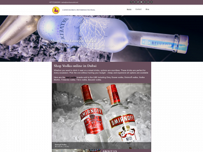 vodkashop-uae.simplesite.com snapshot