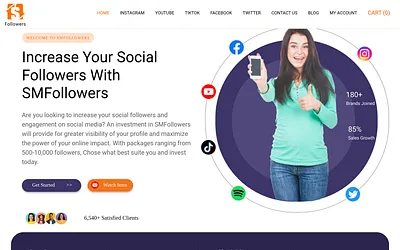 smfollowers.net snapshot