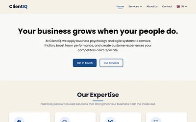 clientiq.consulting snapshot
