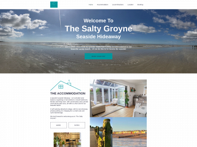 saltygroyne.com snapshot