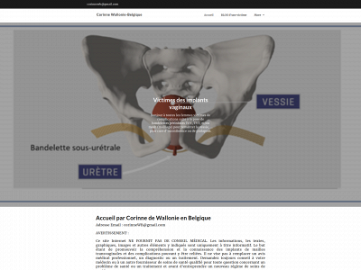 corinnewallonie-belgique.be snapshot