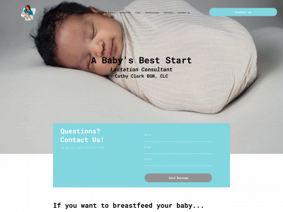 www.babysbeststart.net snapshot