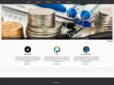 flareconsulting.co snapshot