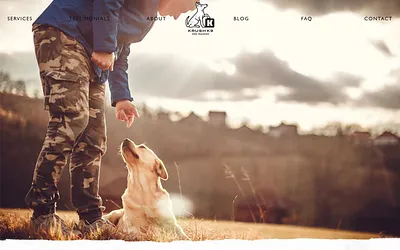 krushk9.com snapshot