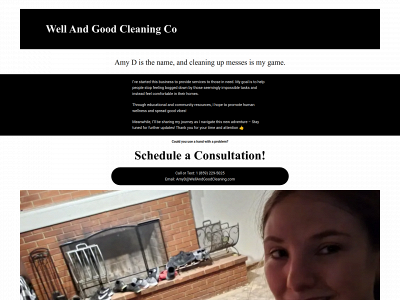 wellandgoodcleaning.com snapshot