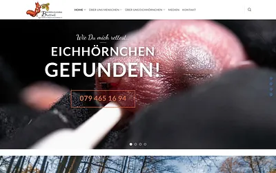 eichhoernchenstation.ch snapshot