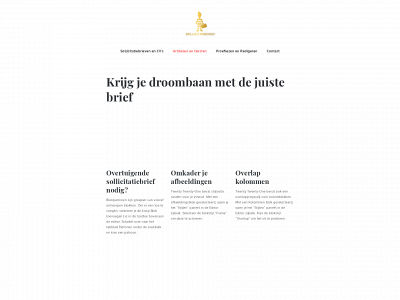 sollicitatieboef.nl snapshot