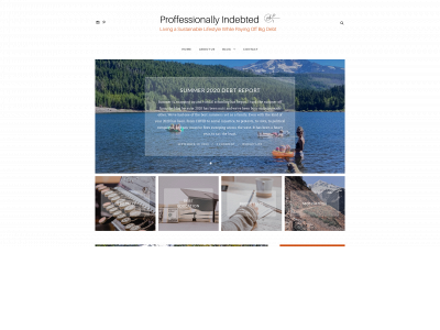 professionallyindebted.com snapshot