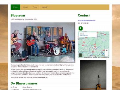 bluessum.nl snapshot
