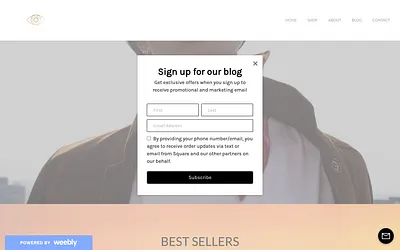 loststudiomx.weebly.com snapshot