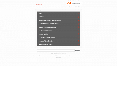 salsal.co snapshot
