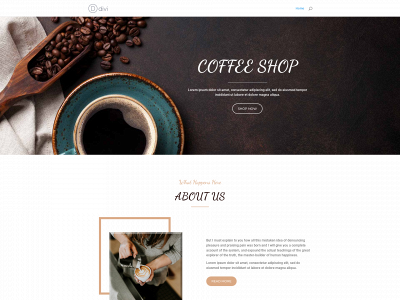 acseotestdivi.dreamhosters.com snapshot