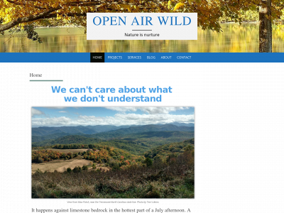 openairwild.com snapshot