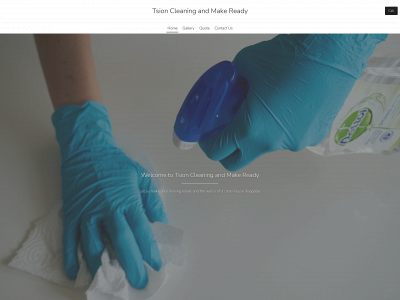 tsioncleaning.com snapshot