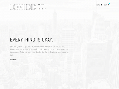 lokidd.com snapshot