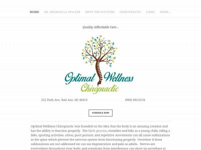 www.optimalwellnesschiropractor.com snapshot