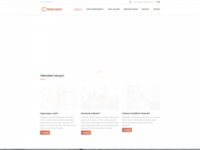 magicoppertr.com snapshot