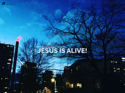 thehopecenter.ch snapshot