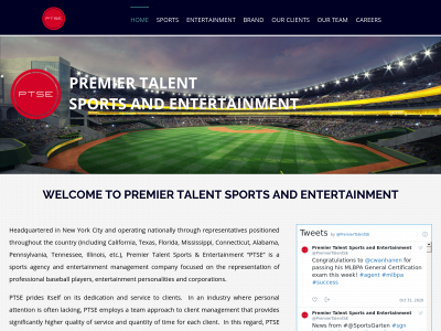 ptsemgmt.com snapshot