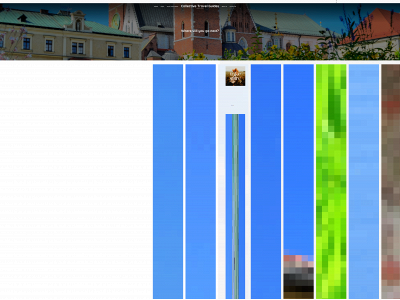 collectivetravelguides.com snapshot