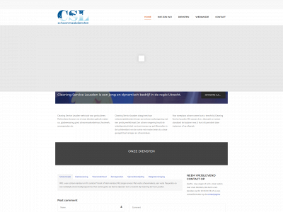 cleaningserviceleusden.nl snapshot