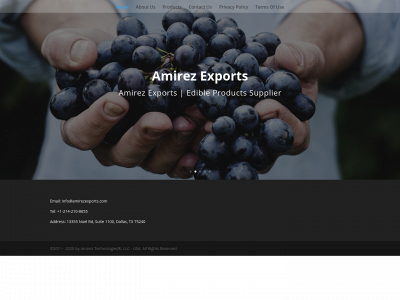 amirezexports.com snapshot