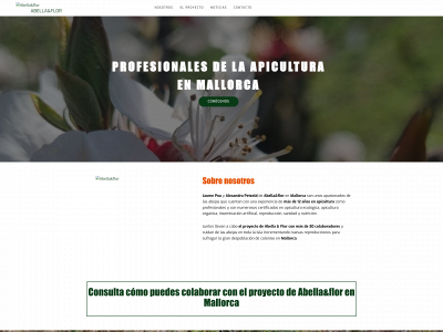 abellaiflor.com snapshot