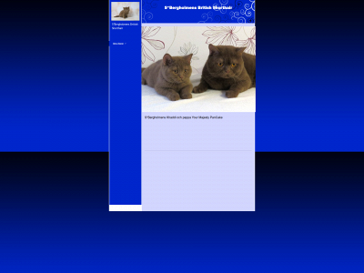 catterybergholmens.se snapshot