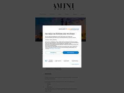 aminigroup.de snapshot