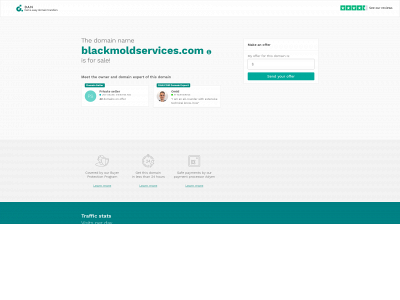 blackmoldservices.com snapshot