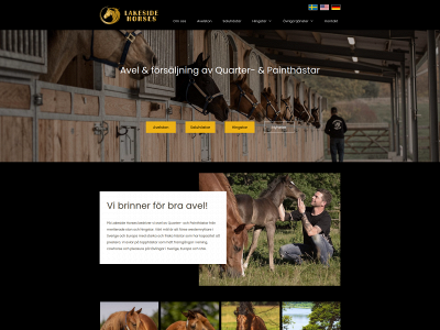 lakesidehorses.se snapshot