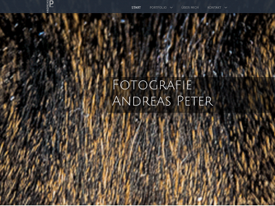 peterandreas.de snapshot