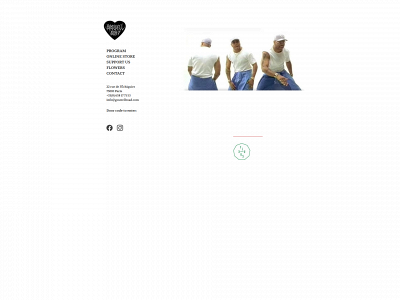 goswellroad.com snapshot
