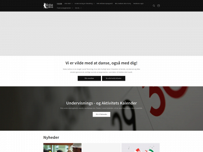 salsalatina.dk snapshot