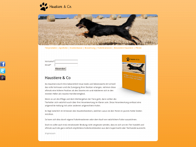 haustierinfo.com snapshot