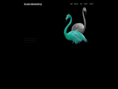 scalemarketing.com.au snapshot