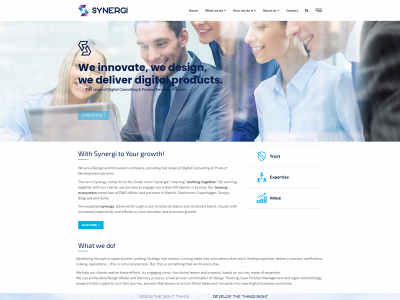 synergidc.com snapshot