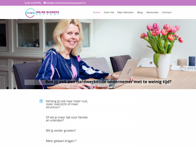 wvsonlinebusinesssupport.nl snapshot