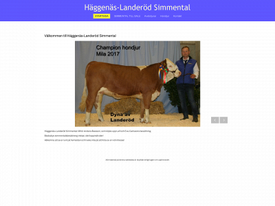 landerodsimmental.se snapshot